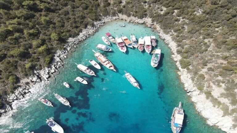 bodrum koylar